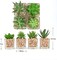 Set of 4 Mini Artificial Succulent Plants in Cube Glass Pots – Small Fake Potted Succulents for Bathroom, Kitchen, Living Room, Shelf, Desk & Home Decor
